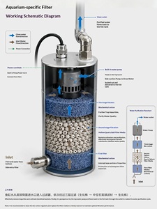 <span class=keywords><strong>Aquarium</strong></span> de bureau/salon avec base en acier inoxydable, <span class=keywords><strong>aquarium</strong></span> écologique, ensemble de filtres en acier inoxydable - Product Image 4