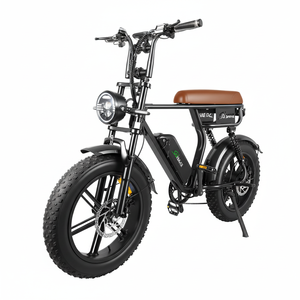 Bicicletta Elettrica Fat Bike V20 a 2 Posti C11 con Pneumatici Larghi 250W 25km/h o 500W 45KM/H per Adulti - Product Image 1