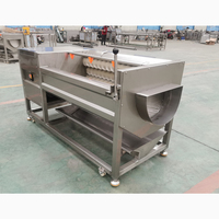 Éplucheur électrique automatique pour la peau de noix de coco, Machine à éplucher la peau de soja et Orange, prix cosmétique