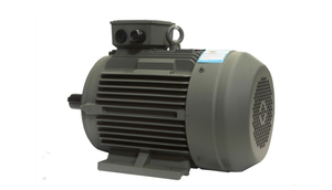Moteur à induction triphasé AC ATB Motor Teco Regal Rexnord <span class=keywords><strong>Vem</strong></span> Marathon Leeson 7,5 kW 15 kW 30 kW 10 CV 20 CV 30 CV - Product Image 2