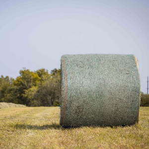 Rete Agricola per Fieno 100% HDPE ad Alta Resistenza, Peso 7g-10g, Servizio di Taglio - Product Image 1