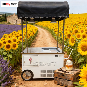 Triciclo Eléctrico de Servicio de Alimentos con Congelador de Helados Rápido Móvil de Fibra de Vidrio 2025 - Product Image 3