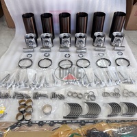 Kit de révision moteur C6.6, jeu complet de joints, segments de piston, roulements et joints d'étanchéité pour excavatrice Perkins 1106D et engins de construction E320D