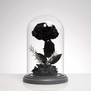 TC Distinctive Little Prince Rosa Eterna Preservata in Cupola di Vetro, Set Regalo per San Valentino, Regalo per Ragazze - Product Image 4