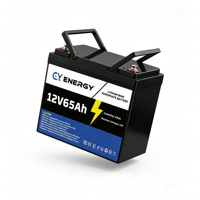 Batterie LiFePO4 12,8 V 65 Ah à Vente Directe Usine avec BMS Intelligent, Surveillance Bluetooth, 4000 Cycles, pour Onduleur UPS, Éclairage Solaire Public, Certifiée CE