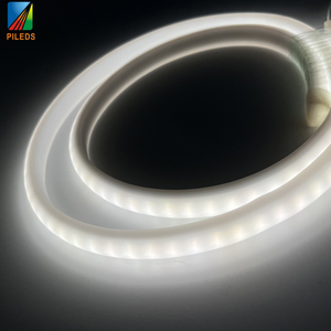 Le câble au néon LED de la coutume en gros RVB allume le silicone de silicium de 8*16mm - Product Image 4