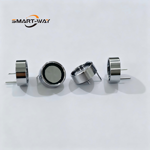 Sonde iButton TMR-2PIN PCB, lecteur de contact 2 broches peu encombrant pour systèmes de contrôle d'accès et de vérification d'identité - Product Image 1
