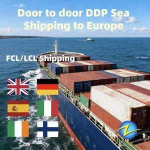 Seguro y Complejo Manejo <span class=keywords><strong>de</strong></span> Carga, Seguimiento, Envío Marítimo desde Ningbo, Shanghái, Yiwu, DDP a Alemania, DTM2 WRO5, Neuburgo, <span class=keywords><strong>Baviera</strong></span>, Almacén FBA - Product Image 3