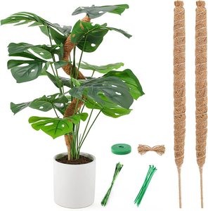 DIY style climbing vine coconut palm stick green dill gardening pillar plant climbing Rod Bendable Moss Pole