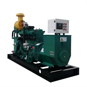 NG/CNG Clean Energy Gas Genset 30kw 50kw 80kw 100kw Natural Gas Generator with Factory Price