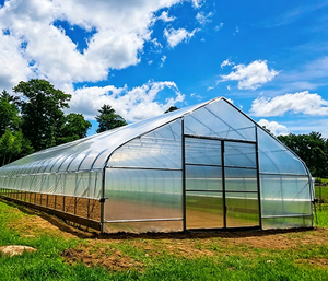 Skyplant Commercial Single Span Film Greenhouse Agricultural Tunnel Plastic Shed with Ventilation System for Vegetable - Product Image 1