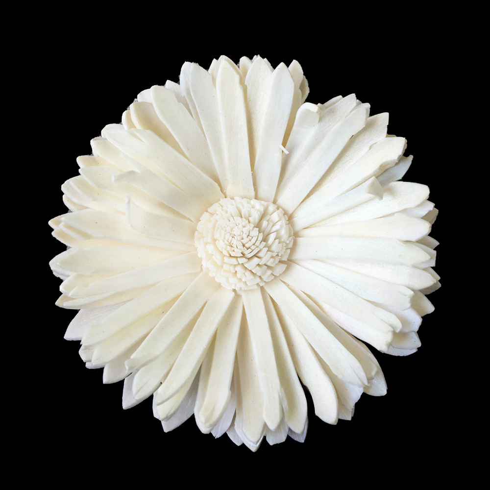 Gerbera blanche 8cm-s640b08n