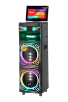 Haut-parleur Bluetooth NDR-SP920 avec écran TWS, écran de 14,1 pouces, batterie rechargeable 12V/12AH avec double microphone Bluetooth 2,4G