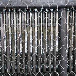 Panier de <span class=keywords><strong>gabion</strong></span> perforé en PVC galvanisé à trous hexagonaux pour murs de soutènement, <span class=keywords><strong>200x100x50</strong></span>, pour pierres, 2.0-4.0mm - Product Image 4