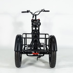 Triciclo Eléctrico de 20 Pulgadas para Adultos, Motor sin Escobillas de 750w, Neumático Grueso, Bicicleta de 3 Ruedas con Carrocería Abierta, Capacidad de Carga de 300 kg - Product Image 3
