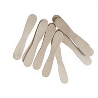 Bâtonnets de crème glacée jetables écologiques en bois de bouleau avec logo, bâtonnets de sucettes glacées portables faits maison, cuillère à crème glacée de qualité supérieure, emballage inclus