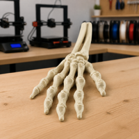 Main de squelette imprimée en 3D personnalisée, modèle de crâne humain haute précision, texture osseuse réaliste, décoration de bureau, support à bijoux