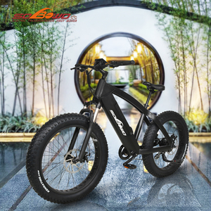 Oferta Especial Bicicleta de Montaña 26 Pulgadas E 750W 48V Bicicleta Eléctrica de Carretera 11.6ah Q7-16 E Bicicleta de Montaña Q7-16 - Product Image 6