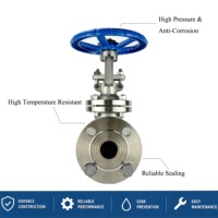 Vanne à opercule à double bride à joint rigide en acier inoxydable CF8 DN150 PN16 pour le service pétrole et gaz