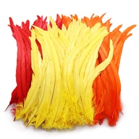 Plumes de queue de coq de carnaval colorées, blanchies et teintes, longues, 30-35 cm, pour la décoration de vêtements - Offre spéciale