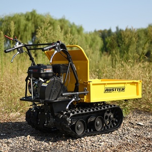 Austter <span class=keywords><strong>China</strong></span> Mejor 7hp Motor de gasolina Rueda de potencia <span class=keywords><strong>Barrow</strong></span> Mini Dumper Gasolina Rueda motorizada <span class=keywords><strong>Barrow</strong></span> - Product Image 4