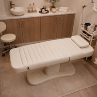 Lit de massage électrique réglable de luxe moderne en cuir PU avec base métallique pour salons de beauté et spas