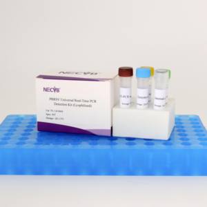 PRRSV-U 핵산 검출 키트 (동결 건조 실시간 형광 PCR) - Product Image 4