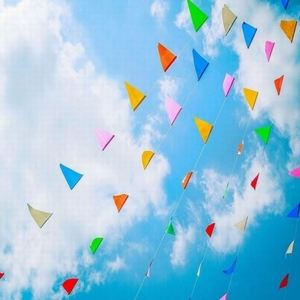 Design Colorful Multi Color <b>Small</b> Pieces Plain Design Printed Pennant Flags - Product Image 5