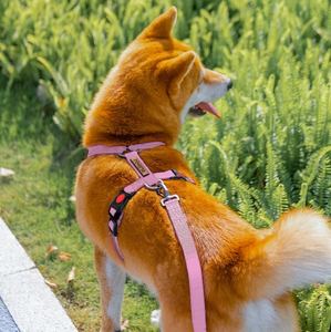 Arnés de perro de protección Ajustable Fuerte Presión Libre Cómodo Bonito Tamaño S - Product Image 3