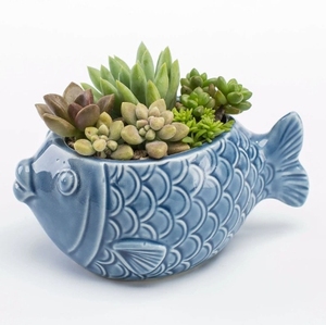 Rumah balkon lanskap kreatif dekoratif Pot bunga Pot sukulen Pot bunga keramik paus biru lucu - Product Image 5