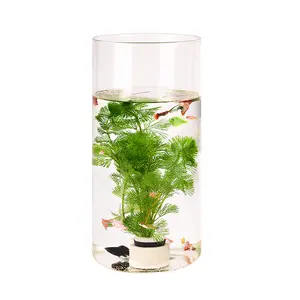 Clear Glass Fish Bowl Vase DIY Micro Landscape Container Vase Container Ecological Flower Vase Fish Tank