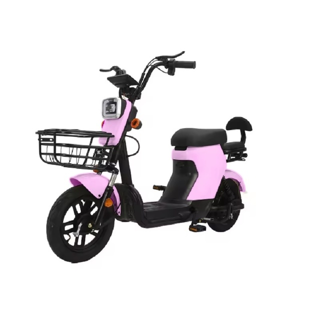 Electric Scooter 500W  800W Electric Motorcycle High-power Mountain Climbing Electric Bicycle