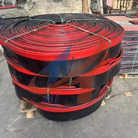 Banda Transportadora con Sistema de Sellado Lateral de Doble Labio, de Goma PU Poliuretano
