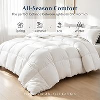 Couette en duvet de canard de qualité supérieure, anti-statique, double couture, 8 languettes aux coins, légère, toutes saisons
