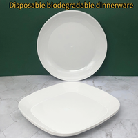Assiette biodégradable jetable de 9 pouces 100% compostable PLA PBAT écologique pour le service de nourriture dans les fêtes et les événements de mariage