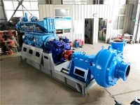 Pompa Pengisap Pasir Harga Terjangkau Seri PNS Pompa Lumpur Horizontal Tahan Aus untuk Dijual