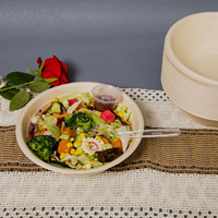 Bols en bagasse de canne à sucre biodégradables et compostables de qualité supérieure, robustes, sûrs pour les aliments, avec couvercle personnalisable pour les fêtes