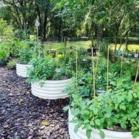 Jardinière Minimaliste Style Européen pour Jardin, Potager et Culture de Légumes, Extérieur, Mobile, Vente en Gros