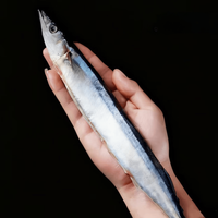 Diepvries Saury Maat 3 OEM Custom Halal Vis Sanma voor High-End Japanse Sushi Cateringketen Groothandel Export
