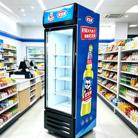 Kulkas Pendingin Langsung 380L Hemat Energi Komersial Suhu Tunggal untuk Menampilkan Minuman Energi dan Cokelat Batangan