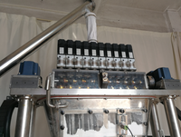 Machine de remplissage verticale de sachets à mâcher de snus de poudre humide de 10mg 15mg d'emballage automatique