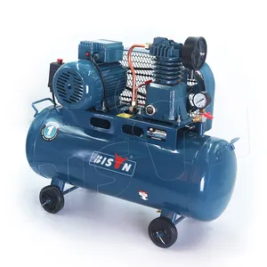 Bison 40l压缩机工业电动空气压缩机价格空气压缩机