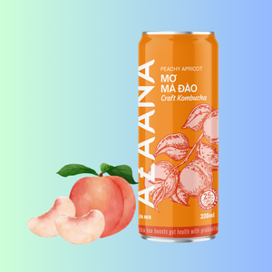 Concentrado de té Kombucha refrigerado estilo Vietnam Premium OEM Sabor a albaricoque y melocotón suave Los mejores refrescos listos para beber - Product Image 5