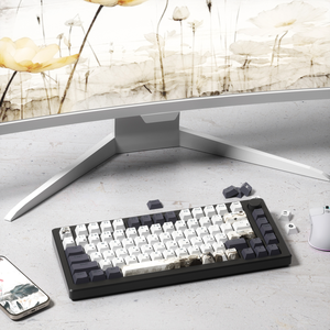 Xvx เกมพีซีโพรไฟล์เชอร์รี่ญี่ปุ่นส่องแสงผ่านการยิงสองด้านสีย้อม5-ชุดคีย์ PBT ซับ (กุญแจ133) - Product Image 6