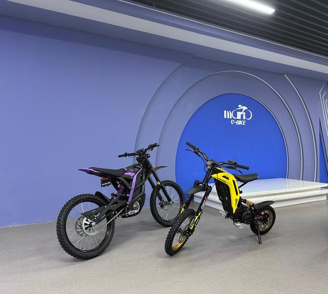 Real All-Terrain Off-Road Motorcycle 79bike Falcon Pro Electric Dirt Bike 72v 10kw Fast Speed 90km/h