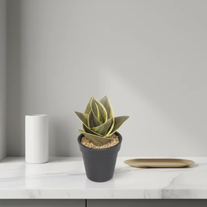 Planta Artificial de <span class=keywords><strong>Sansevieria</strong></span> Trifasciata en Maceta Negra, Planta Serpiente Artificial Variegada para Decoración del Hogar, Oficina, Mesa, Estante - Product Image 6