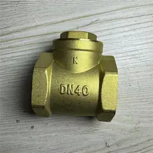 Valve Manufacturer Reset Spring Sewerage Flapper Type 2 in Manual Operated Brass Check Valve
