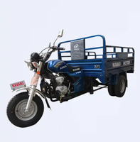 Лидер продаж 150cc рекламный моторизованный газовый тук Грузовой Трехколесный трехколесный грузовой трехколесный