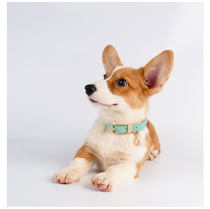 SinSky-<span class=keywords><strong>Collar</strong></span> de cuero para perro cachorro, <span class=keywords><strong>collar</strong></span> de entrenamiento para caminar, color personalizado, de lujo - Product Image 1