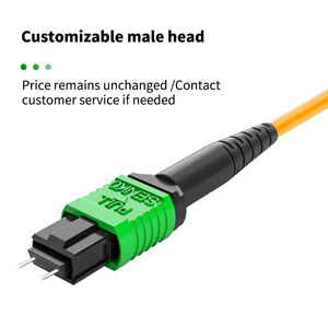 Cordon de répartition de <span class=keywords><strong>fibre</strong></span> optique à large bande de 40G 100G vers 10G 25G - Product Image 1